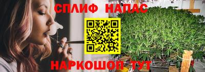 эйфоретик Жуковский